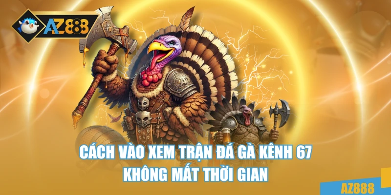 Cách vào xem trận đá gà kênh 67 không mất thời gian