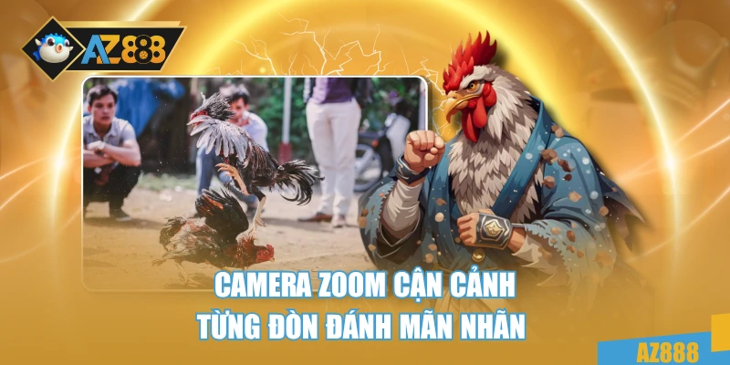 Camera zoom cận cảnh từng đòn đánh mãn nhãn 