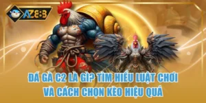 Đá Gà C2 Là Gì? Tìm Hiểu Luật Chơi Và Cách Chọn Kèo Hiệu Quả