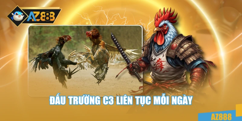  Đấu trường C3 liên tục mỗi ngày