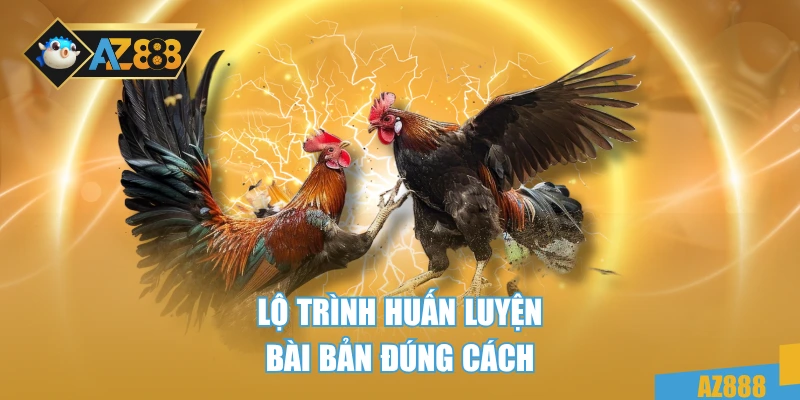 Lộ trình huấn luyện bài bản đúng cách