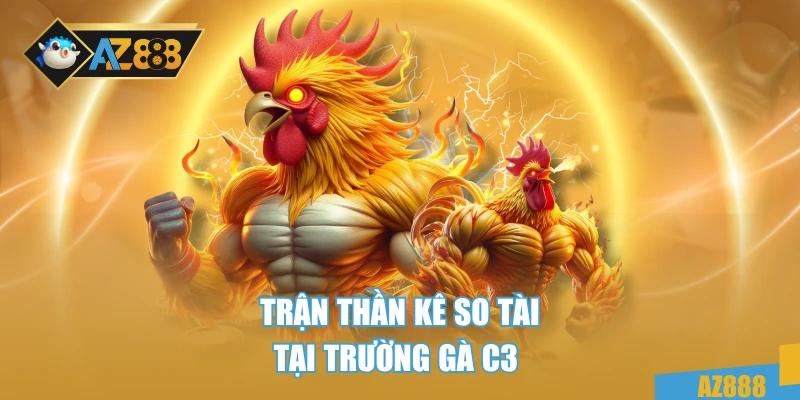 Trận thần kê so tài tại trường gà C3 