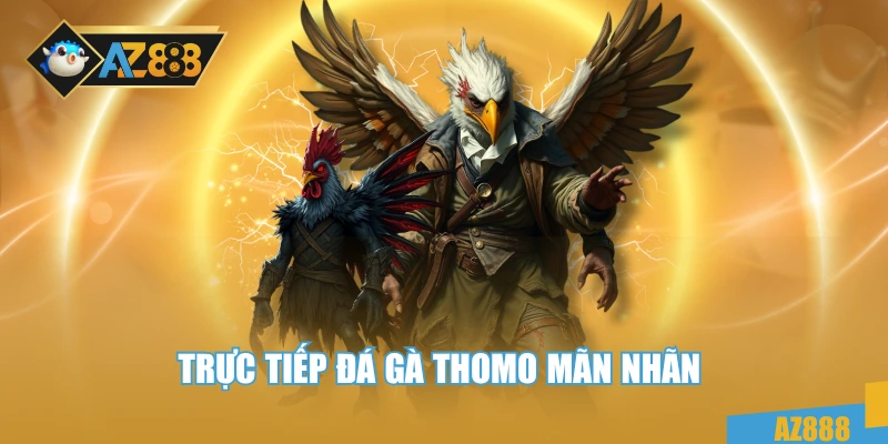 Trực tiếp đá gà thomo mãn nhãn 